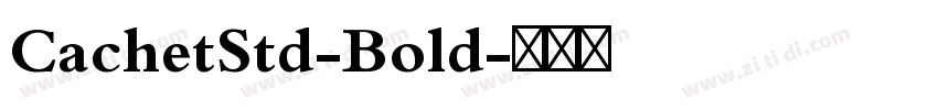 CachetStd-Bold字体转换