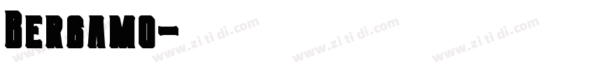 Bergamo字体转换