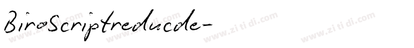 BiroScriptreducde字体转换