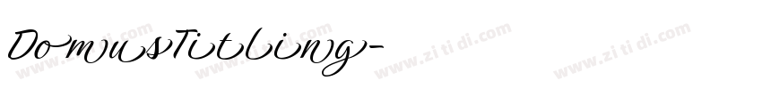 DomusTitling字体转换