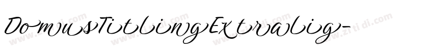 DomusTitlingExtralig字体转换