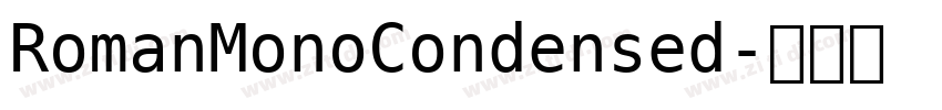 RomanMonoCondensed字体转换