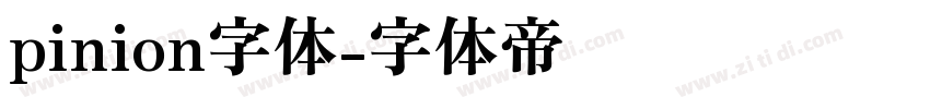pinion字体字体转换