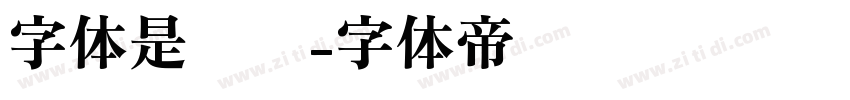 字体是级别字体转换