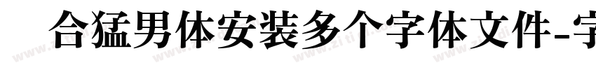 适合猛男体安装多个字体文件字体转换