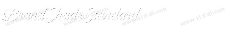 BrandShadeStandard字体转换