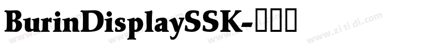 BurinDisplaySSK字体转换