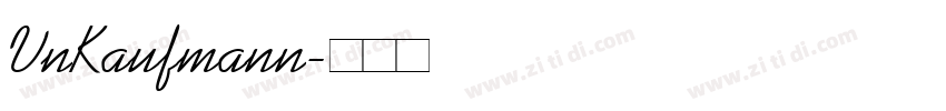 VnKaufmann字体转换