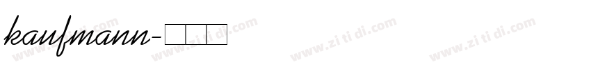 kaufmann字体转换