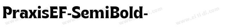 PraxisEF-SemiBold字体转换 PraxisEF-SemiBold字体转换
