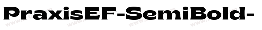 PraxisEF-SemiBold字体转换 PraxisEF-SemiBold字体转换