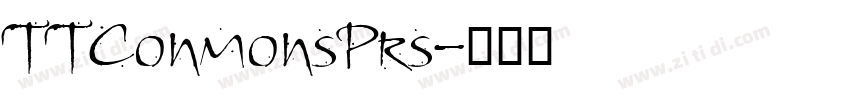 TTConmonsPrs字体转换