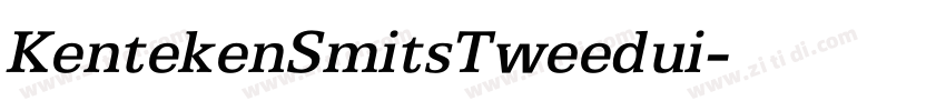KentekenSmitsTweedui字体转换