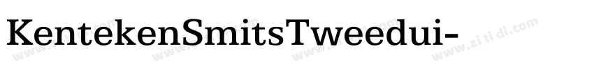 KentekenSmitsTweedui字体转换