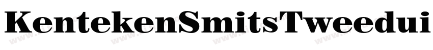 KentekenSmitsTweedui字体转换