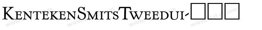 KentekenSmitsTweedui字体转换