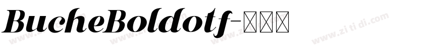 BucheBoldotf字体转换