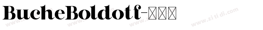 BucheBoldotf字体转换