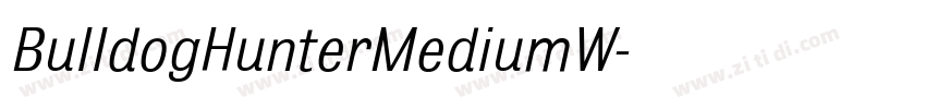 BulldogHunterMediumW字体转换