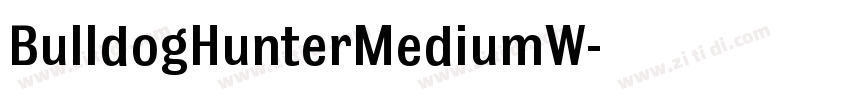 BulldogHunterMediumW字体转换
