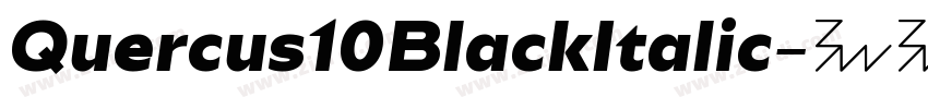 Quercus10BlackItalic字体转换