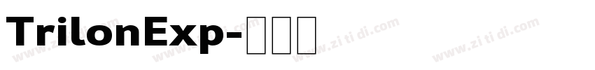 TrilonExp字体转换