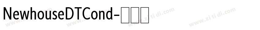 NewhouseDTCond字体转换