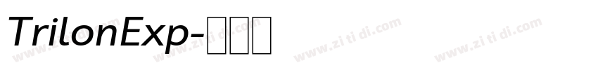 TrilonExp字体转换