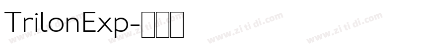 TrilonExp字体转换