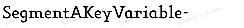 SegmentAKeyVariable字体转换