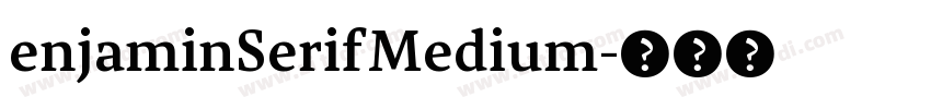 enjaminSerifMedium字体转换