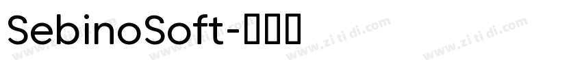 SebinoSoft字体转换