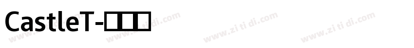 CastleT字体转换