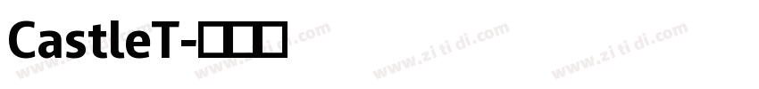 CastleT字体转换