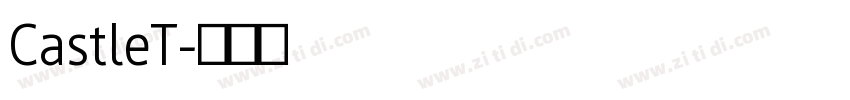CastleT字体转换
