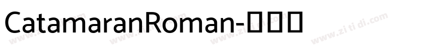 CatamaranRoman字体转换