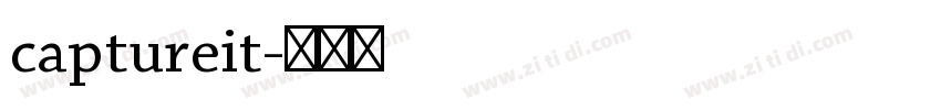 captureit字体转换