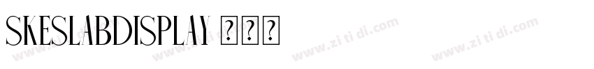 skeSlabDisplay字体转换