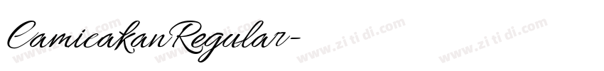 CamicakanRegular字体转换 CamicakanRegular字体转换