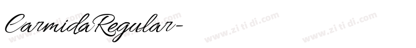 CarmidaRegular字体转换 CarmidaRegular字体转换