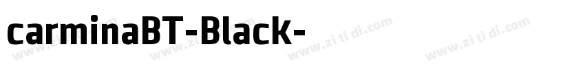 carminaBT-Black字体转换