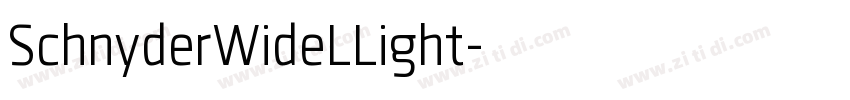 SchnyderWideLLight字体转换