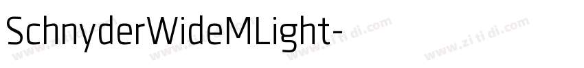 SchnyderWideMLight字体转换