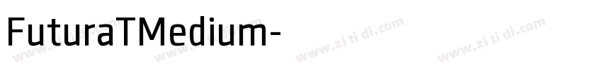 FuturaTMedium字体转换 FuturaTMedium字体转换
