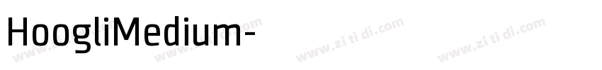 HoogliMedium字体转换