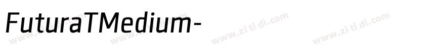 FuturaTMedium字体转换