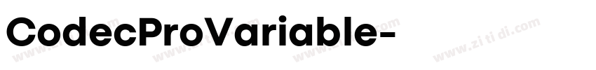 CodecProVariable字体转换