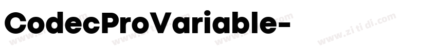 CodecProVariable字体转换