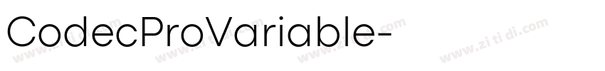CodecProVariable字体转换