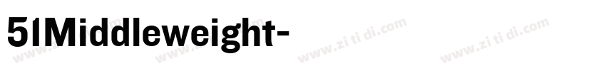 51Middleweight字体转换